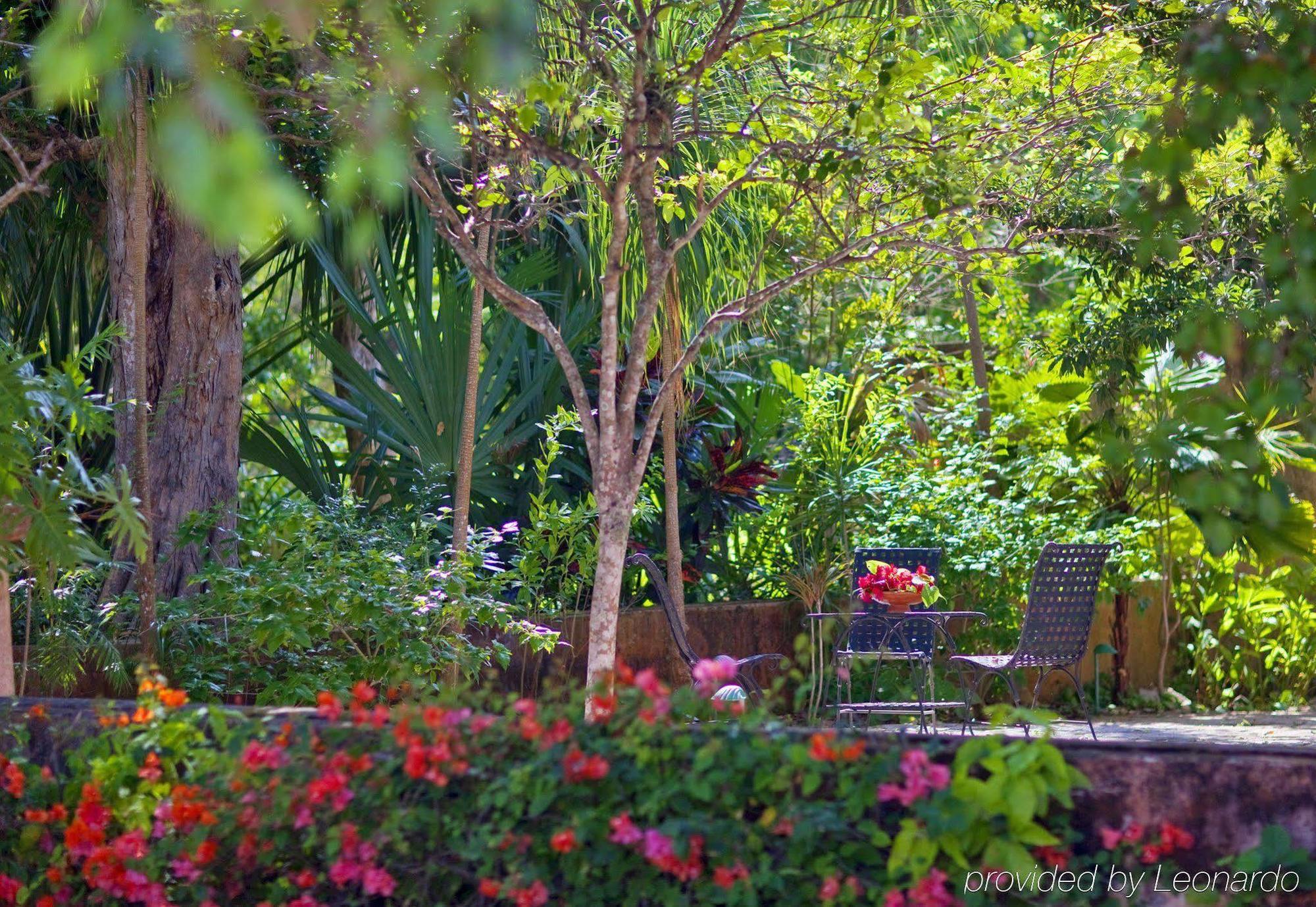 Hacienda Santa Rosa De Lima Hotel Eksteriør billede
